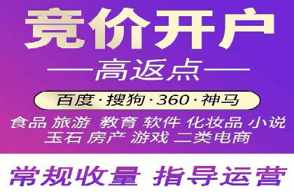 SEM推广竞价策略案例分析